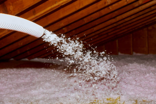 Best Attic Insulation Installation  in St Stephens, NC